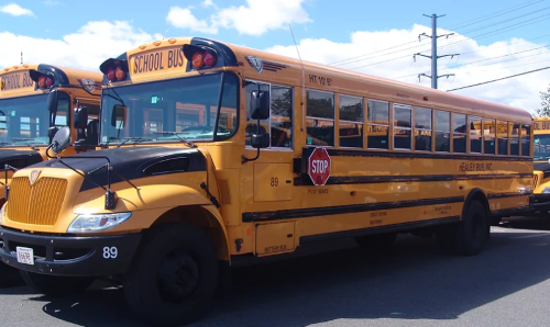 Bus Side Close-up